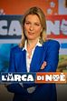 SpeciAli: Corrione biondo
