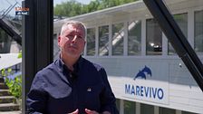 Il Racconto del Mare