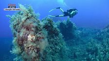 L'isola che non c'è