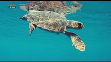 Il racconto del mare