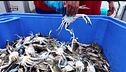 Il racconto del mare