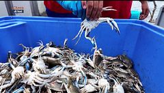Il racconto del mare