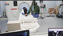 L'epilessia nel cane