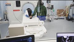 L'epilessia nel cane