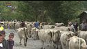 Caluma el Vache