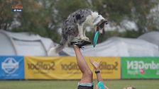 L'educa-cani: Disc dog