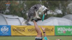 L'educa-cani: Disc dog