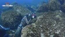 Obiettivo Mare