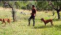 Campo ai Giovani