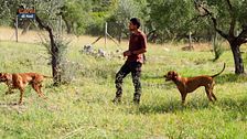 Campo ai Giovani