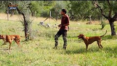 Campo ai Giovani