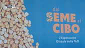 Dal seme al cibo