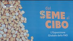 Dal seme al cibo