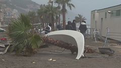 Edizione ore 18.30 del 24 gennaio