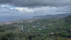 Edizione ore 12.25 del 29 gennaio