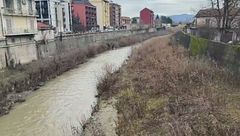 Edizione ore 12.25 dell'8 febbraio