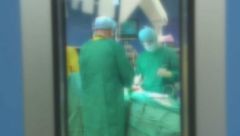 Edizione ore 12.25 del 25 febbraio