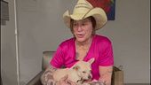 Una colletta per Mickey Rourke