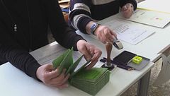 Edizione ore 12.25 del 22 marzo