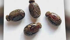 Edizione ore 12.25 del 28 aprile