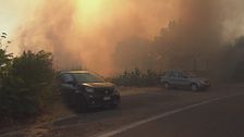Edizione ore 12.25 del 13 luglio