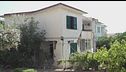 Edizione ore 18.30 dell'1 agosto