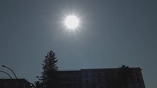 Edizione ore 12.25 del 6 agosto