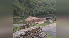 Edizione ore 12.25 del 21 agosto