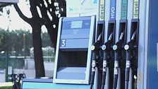 Edizione ore 12.25 del 13 settembre