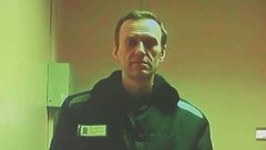 "Navalny ucciso dal veleno di rana"