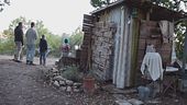 La famiglia del bosco all'attacco