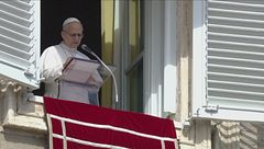 Papa, "Tacciano le armi, sì al dialogo"