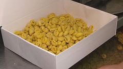 Dazi, la pasta italiana è salva