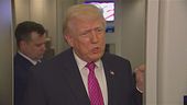 Trump, "Potremmo prendere Kharg"