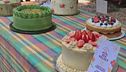 Tutti pazzi per il Cake picnic