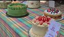 Tutti pazzi per il Cake picnic