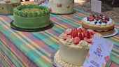 Tutti pazzi per il Cake picnic