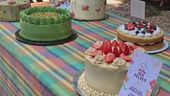 Tutti pazzi per il Cake picnic