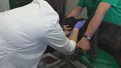 Anche cani e gatti donano il sangue