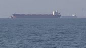 Hormuz, "solo 15 navi al giorno"