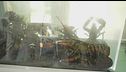 "Sognavamo di liberare gli astici"