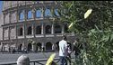 In viaggio 7 milioni di italiani