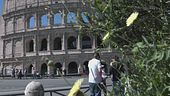 In viaggio 7 milioni di italiani
