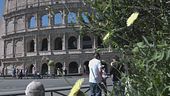 In viaggio 7 milioni di italiani
