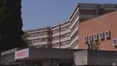 Presa a martellate, caccia al marito