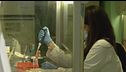 Hantavirus, test su un italiano
