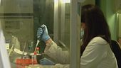 Hantavirus, test su un italiano