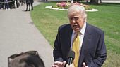Trump-Xi, "Pronti a collaborare"