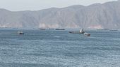 L'Iran e Hormuz, allarme dalla Cia