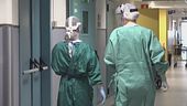 Hantavirus, "Nessuna mutazione"